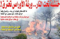 4 آلاف هكتار تتحوّل إلى رماد.. واتساع رقعة حرائق غابات “عين ميمون” في خنشلة!